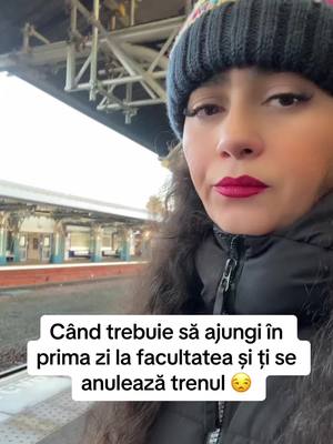 A post by @gutapavelgeorgian on TikTok caption: @Daniel Pavel 