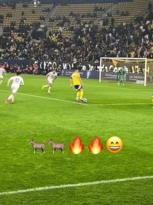 A post by @sergey_ivanov55 on TikTok caption: #🐐 