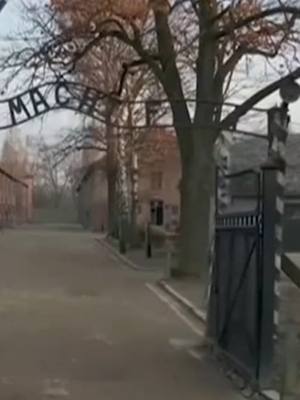 A post by @noticias_cuatro on TikTok caption: 80 años de la liberación de Auschwitz: José Luis Fuentecilla analiza por qué se ha convertido en un símbolo de la barbarie nazi #noticiascuatro #noticias #news #noticiastiktok