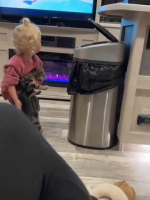 A post by @funny2743 on TikTok caption: #funny #funnyanimals #funnyvideos #cuteanimals #pet #fyp 