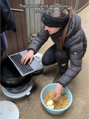 A post by @royalhorsemenofficial on TikTok caption: Arbeitet ihr auch im Homeoffice oder nur im Büro?👩🏻‍💻 #royalriders #equestrian #work #horses #comedy #fy 