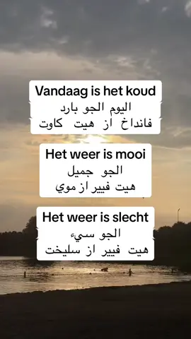 A post by @raymonddillmanalv on TikTok caption: #تعليم_اللغة_الهولندية #للمبتدئين #نتعلم_معاً #كل_يوم_جملة #الشعب_الصيني_ماله_حل😂😂 #اكسبلور #لايك #هولندا #امستردام 