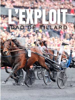 A post by @jockeyz_ on TikTok caption: 👑👑 Idao de Tillard, le crack des cracks, entre dans l’histoire en remportant pour la deuxième fois consécutive le mythique Prix d’Amérique ! Il y a deux mois à peine, il luttait contre une maladie 😷  #coursehippique #jockey #jockeyz #cheval #ecuriemanager #histoire #prixdamerique #vincennes #letrot #emotion #teddyriner 