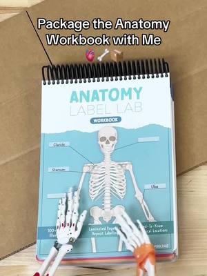 A post by @nurseinthemakingkristine on TikTok caption: You’ll want to get your PHALANGES on this book! 🖐️🦴☠️📚 #anatomy #anatomyandphysiology #nursingschool #futureRN #healthcare #nursingeducation #healthcareeducation #learnanatomy #studywithme #medicaleducation 