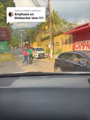 A post by @thelifeofjlowe on TikTok caption: Replying to @Ashlei  @andrewholness fix the roads that actually need to fix!!!! 