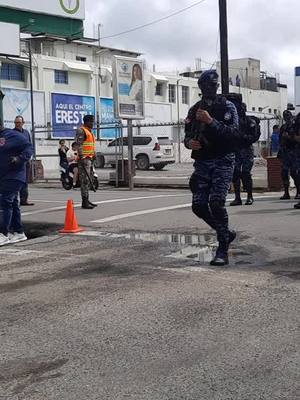 A post by @chico_romero on TikTok caption: fuerza especial paracaidista FARD @Los héroes RD DESFILE MILITAR EN HONOR A Juan Pablo  Duarte #military 