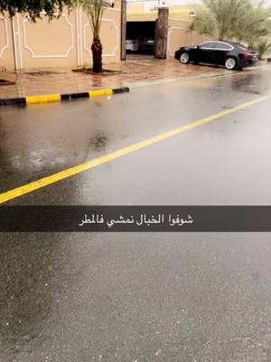 A post by @wardat_alemarat on TikTok caption: #أميرة آل علي 