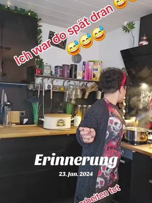 A post by @felicia300875 on TikTok caption: #erinnerung 