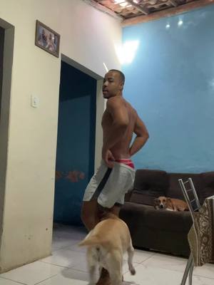 A post by @reinaldoo on TikTok