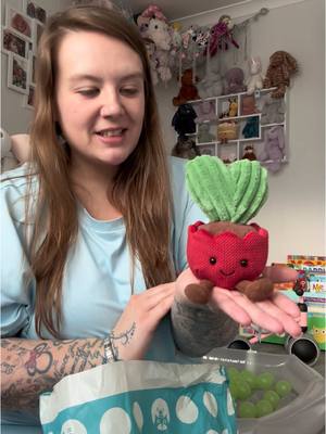 A post by @gardennicolax on TikTok caption: 🌵❤️ #fyp #jellycat #ValentinesDay 