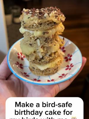 A post by @beakerbeak on TikTok caption: Make a birthday cake for our sweet Ducky girl with me! Hopefully they like it - stay tuned to see the birthday celebration! 🎉 #birthday #baking #birdsoftiktok #parrotsoftiktok #nontoxic #cake #happybirthday #birthdaygirl #cuteanimals #funnyanimals #babyanimals #parrot #baby #irn 