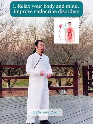 A post by @taichi.zidong on TikTok caption: Specific exercise improve symptoms, daily full-body exercises remove root causes.#taichi #tcm #healthylifestyle #exercise #chineseculture #mind #endocrinedisruptors #sleep 