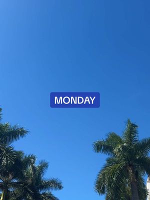 A post by @chelseaparkee on TikTok caption: 👖🌴👩‍💻 Monday! in my life !!!!!!! timestamped !!!!!!! #chelseaparketimestamp #Vlog #parke #dayinmylife 