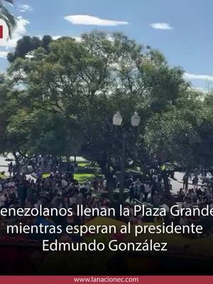 A post by @lanacionec on TikTok caption: 🔴 #ATENCIÓN La Plaza Grande se llena de banderas venezolanas y gritos de esperanza con la llegada de Edmundo González al Palacio de Carondelet. El líder opositor fue recibido por el presidente Daniel Noboa, en un gesto que reafirma el respaldo de Ecuador a la democracia en Venezuela.