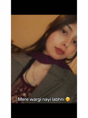 A post by @itz_raman0128 on TikTok caption: Mere wargi teinu nayi labhni🤭 #punjabi #tbh #tiktok 