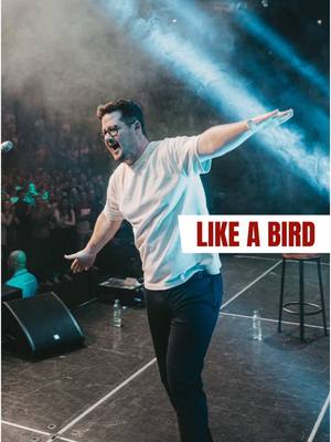 A post by @christall_official on TikTok caption: like a bird 👀😂