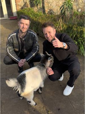 A post by @ceolband on TikTok caption: ⚠️ Inverness!! Tickets for our headline gig this Saturday in Eden Court are almost gone!! 🎟️ Grab yours now before Mac does 🐐😂  Last few tickets available now on www.ceolband.com  @Daryl @James O Sullivan @cderv99 