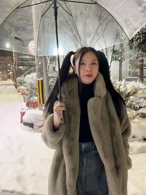 A post by @28faungfa on TikTok caption: 🇰🇷☃️❄️