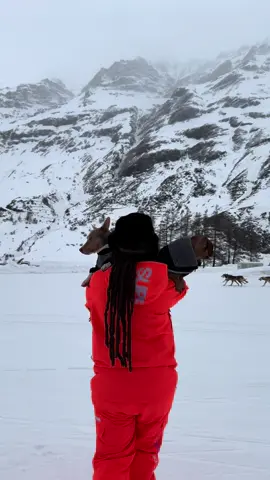 A post by @ileauu on TikTok caption: Monday et Siji les montagnards 🗻🐶 On a été suivre les courses de la @La Grande Odyssée VVF à Val Cenis et c’était incroyable. Merci @Animalis de nous avoir fait vivre ça 🥹❤️  invitation*