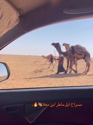 A post by @rtxj16 on TikTok caption: #اكسبلور_ابن_معلا_الذود_الله_يبارك🐪