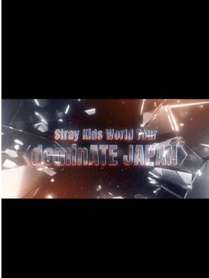 A post by @straykids_japan on TikTok caption: Stray Kids World Tour <dominATE JAPAN> SHIZUOKA STADIUM ECOPA 2025.05.10 (SAT) 2025.05.11 (SUN) 2025.05.17 (SAT) 2025.05.18 (SUN) #StrayKids #スキズ #dominATE #dominATE_JAPAN 