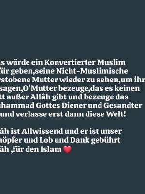 A post by @izeinfo on TikTok caption: Bleibe Standhaft auf den Islam!#islam #glaube #dank #alhamdulillah❤️ #lobunddank #allah #gott #religion #meinleben #paradise #mama #mutter 