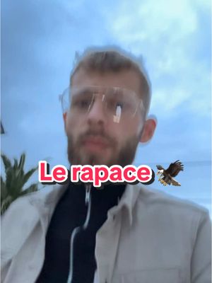 A post by @larche_de_francois on TikTok caption: Le retour du rapace 😮😡🦜#perroquet 