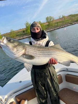 A post by @gianfrancospinel on TikTok caption: Put my buddy onto a giant last season #ny #fishtok #fishing #centerconsole #fishinglife #fyp #stripedbassfishing #jamaicabay #fyp #sky #ocean 