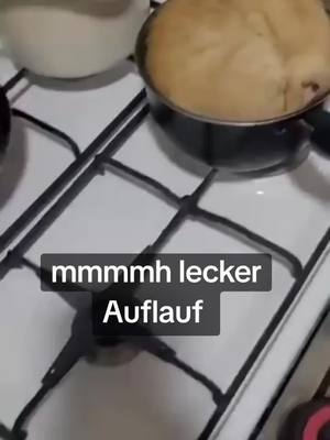 A post by @vancenoby on TikTok caption: mmmmmh lecker Auflauf 🙈🤣 #vancenoby #trullalike #goviral #auflauf #food #cooking #kochen #topf #katze #catsoftiktok #red #one #fypシ   #fyfyfyfyfyfyfyfyfyfyfyfyfyfyfyfyfyfy #lol #omG #newtrend #today  #comedy #prank #humor #lachen #spass #spaß #fun #funny #lustig #lipsync #fyp #fy #foryoupage #fürdich #heute #Love #tiktokcomedy #tiktokdeutschland #tiktok #viral #trendy 