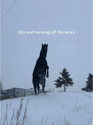 A post by @steadyrein on TikTok caption: this doesn’t mean don’t be informed. it means if you can take breaks to ground yourself, do. deep breaths. #montana #homestead #winter #ranchlife 