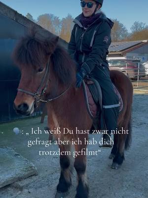 A post by @leaandjulierose on TikTok caption: Markiert mal euren Lieblingsmensch 🤍 Und bedankt euch dafür 🥰 @Ᏽ𐌀𐌍Ᏽ𐌔𐌀𐌋𐌀𐌕 #horses#isländer#icelandichorse#lieblingsmensch#galopp 