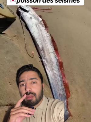 A post by @malik.makhlouff on TikTok caption: la légende japonaise dit que  si tu vois ce poisson  ca veut dire qu’un séisme arrive !!  vous en pensez quoi ?  #poissonseisme #seisme #oarfish #japon #faitsdivers #devinelapersonne 