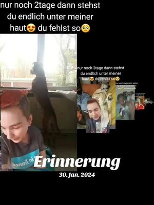 A post by @tristan_lgb on TikTok caption: #erinnerung #herzvergeben #single #lgbt🌈 #09092019😭💔 