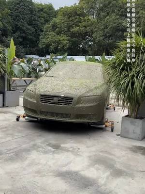 A post by @wxzcarrepair on TikTok caption: The scrapped car I bought for 6000 yuan, is it still an old car from 20 years ago after renovation?#Oldcarrefurbishment #Immersivecarwash #Decompressionvideo 