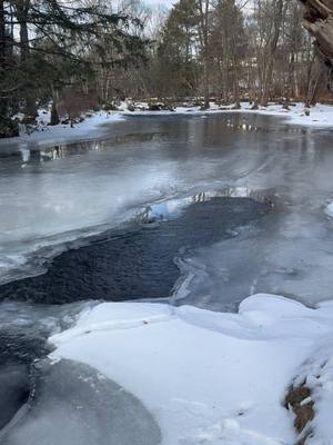 A post by @flyfishdelawhere on TikTok caption: The moment all your excitement and anticipation gets demolished. Ever spend hours thinking about fishing the night before? What holes you’re gonna fish, are you gonna catch that one that got away last time, what flies are you going to start with? Then you get to the creek and it’s iced over. Buzzkill. #flyfish #fishing #flyfishdelawhere #ice #icefishing #frozen #frozencreek #frozenwater #dayoff #troutfishing #troutcreek