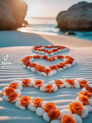 A post by @fadumohussein17 on TikTok caption: #somalitiktok #fypシ゚viral #fyp 
