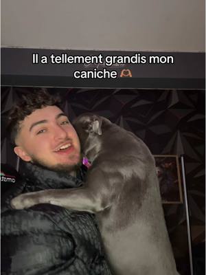 A post by @ramzouuu on TikTok caption: Devine la race du chien 🥰