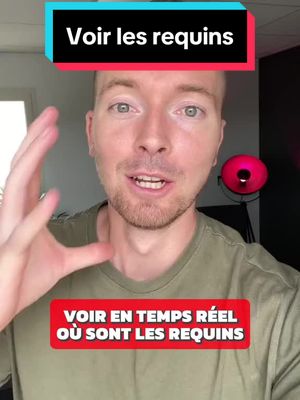 A post by @frenchstartupper on TikTok caption: Voir les requins en temps reel #astuces #frenchstartupper 