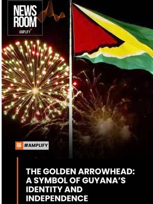 A post by @newsroomgy on TikTok caption: As Mashramani and Republic Day celebrations approach, let’s take a closer look at one of Guyana’s most recognizable national symbols. More than just a patriotic emblem, the flag is a powerful identifier of Guyana on the international stage. #newsroomgy #newsroomguyana #goldenarrowhead #guyana #newsroomamplify