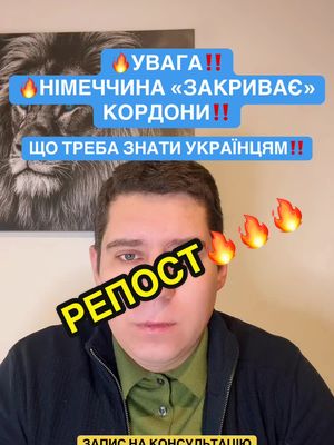 A post by @lawyerdemchenko on TikTok caption: #німеччина #германия #українцізакордоном #українцівнімеччині #українцівпольщі #украинцывгермании #біженцівнімеччині #українцівіталії #українцівіспанії🇪🇸 #життявнімеччині #українцівчехії #українцівшвейцарії🇨🇭 #українцівнорвегії #українцівканаді #українцівавстрії #адвокатдемченко 