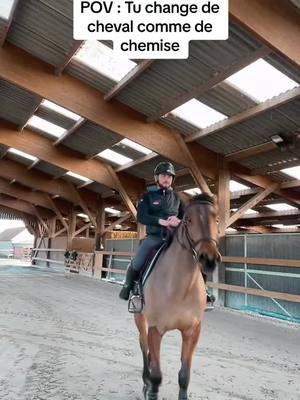 A post by @theobrousseau_ on TikTok caption: J’avais pas honte de poster ça ? 🥲 #horse #ecurie 