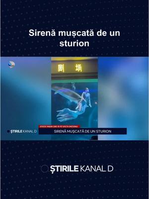 A post by @stirilekanaldro on TikTok caption: O femeie din China, îmbrăcată în sirenă a fost mușcată de un sturion uriaș. 🔵 În fața spectatorilor care priveau uluiți, sirena s-a transformat în pradă pentru sturion. #stirilekanald #kanaldromania #incident #china #sturion #sirena #atac 