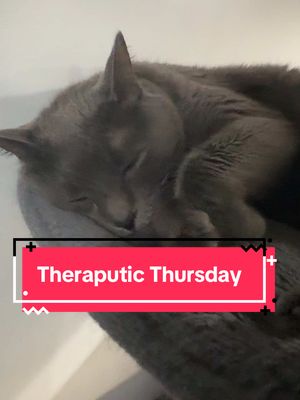 A post by @yseratok on TikTok caption: Theraputic thursday. Another idea im trying #ysera #yseratok #kitten #cute #specialcat #catsoftiktok #kitty #goodmorningysera #catsofinstagram #catsoffacebook #ndd #neurodegenerativedisease #yserasarmy #theraputicthursday 