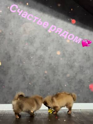 A post by @galinamoiseeva323 on TikTok