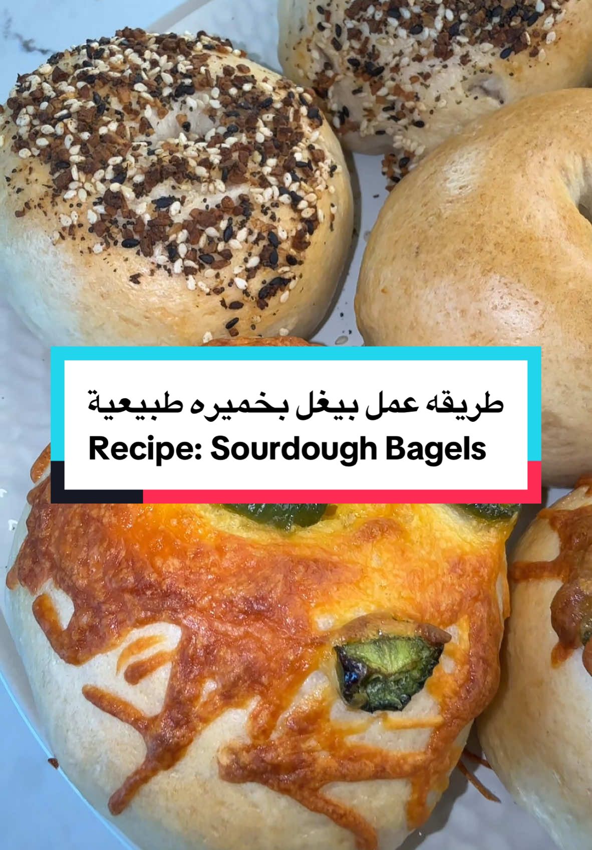 A post by @cookingwithryam on TikTok caption: طريقه عمل بيغل بخميره طبيعية  Recipe: Sourdough Bagels  #foryoupage #sandiego #fypシ #fyp #middleeastern #Foodie #foodbyRyam #sourdough #sourdoughstarter #sourdoughtok #sourdoughforbeginners #sourdoughbagels #firsttimemakingbagels #homemadebagels #Recipe 