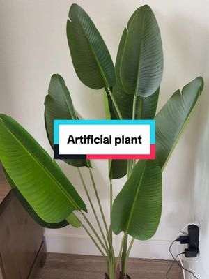 A post by @cookingwithryam on TikTok caption: Link is above my name!  #f#foryoupages#sandiegot#tiktokt#TikTokShopt#tiktokpartnerf#fakeplantsa#artificialplantsh#homedecor