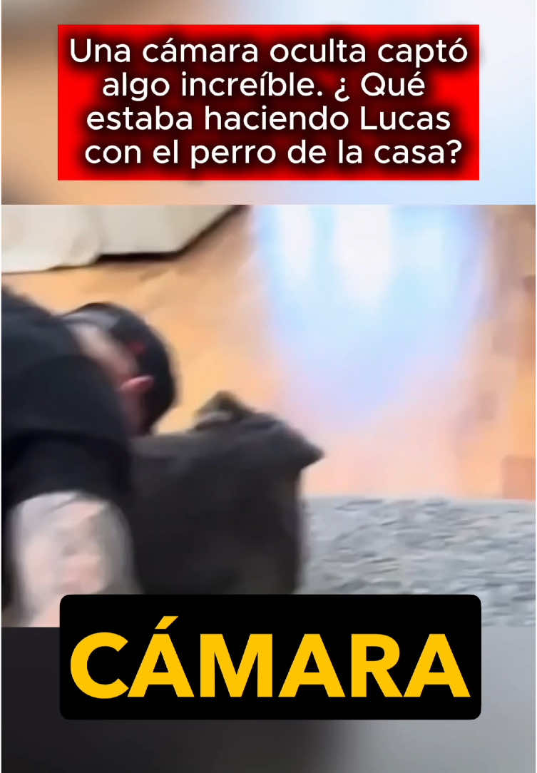 A post by @historiasraras00 on TikTok caption: Una cámara oculta captó algo increíble. ¿Qué estaba haciendo Lucas con el perro de la casa? #usa #us #learnontiktok #truestory