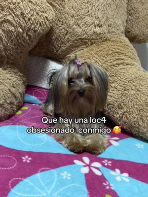 A post by @nana01.v on TikTok caption: Cuéntale a todos 🐩 Anía💙 #Viral #parati #fypp #lesvianas💕🌈 