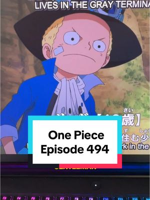 A post by @ezeekat on TikTok caption: Hello new friend Sabo! #onepiece #onepieceanime #luffy 