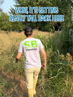 A post by @sbmowing on TikTok caption: Siblings FEUD went so far the grass grew TALLER THAN THE HOUSE #mowing #edging #cleanup #asmr #satisfying #sbmowing #cleaning #overgrownyard #fyp #fypシ #viral #viralvideo #transformation #overgrown #maruyama #badboymower #muckboots